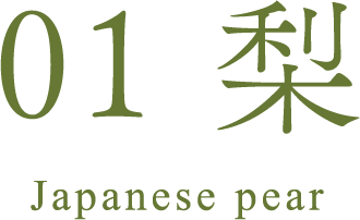 01 梨 Japanese pear